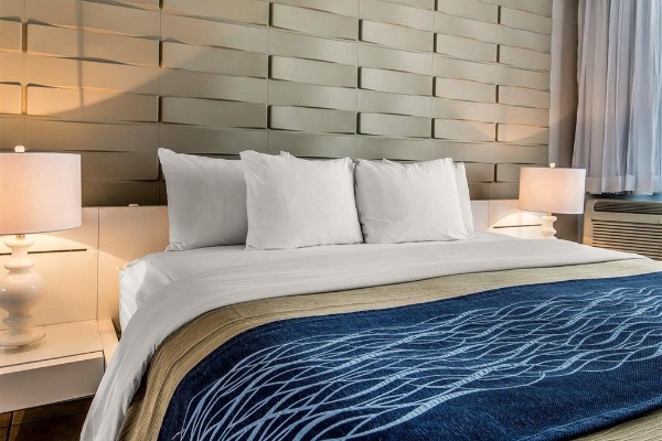 Comfort Inn and Suites Levittown